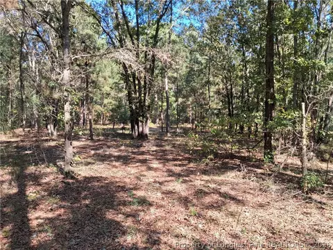 0 White, Oak, NC 28399 photo 32