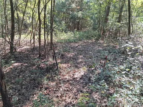 0 White, Oak, NC 28399 photo 5