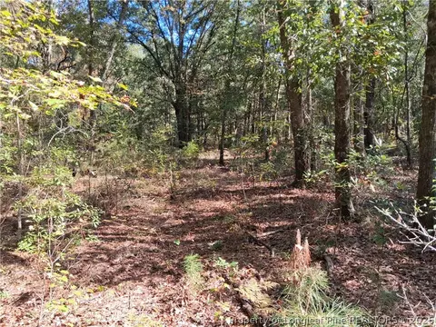 0 White, Oak, NC 28399 photo 22