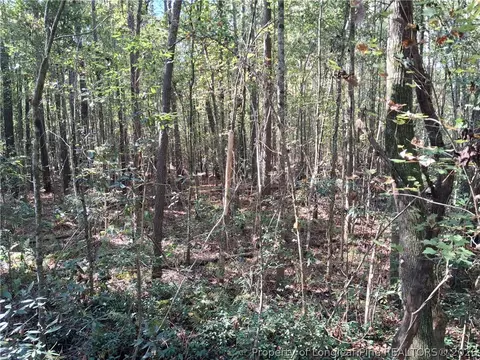 0 White, Oak, NC 28399 photo 14