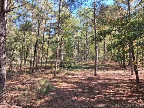 0 White, Oak, NC 28399 photo 28