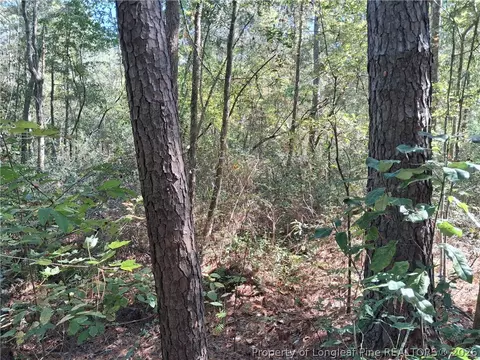 0 White, Oak, NC 28399 photo 21