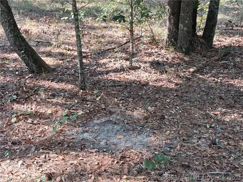 0 White, Oak, NC 28399 photo 35