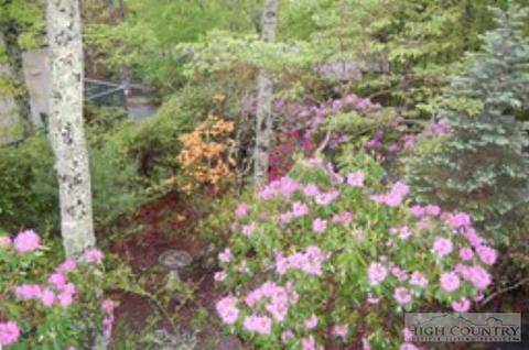 212 Galax Loop, Linville, NC 28646 photo 9