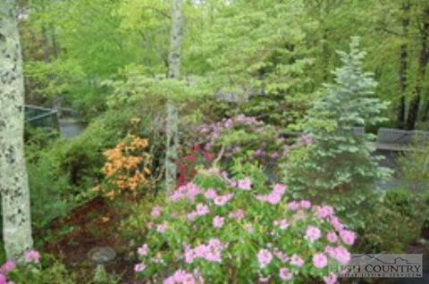 212 Galax Loop, Linville, NC 28646 photo 8