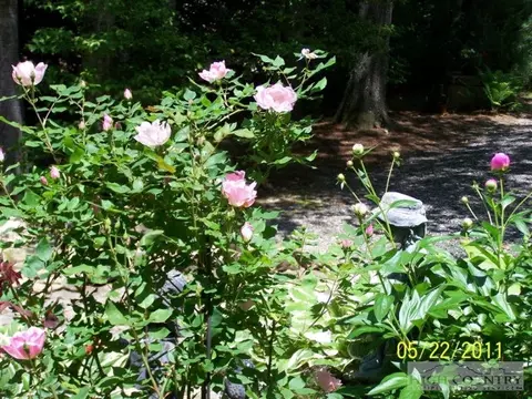 3664 Wildcat Rd, Deep Gap, NC 28618 photo 29