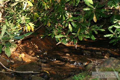 360 H Stanley Miller Rd, Deep Gap, NC 28618 photo 4