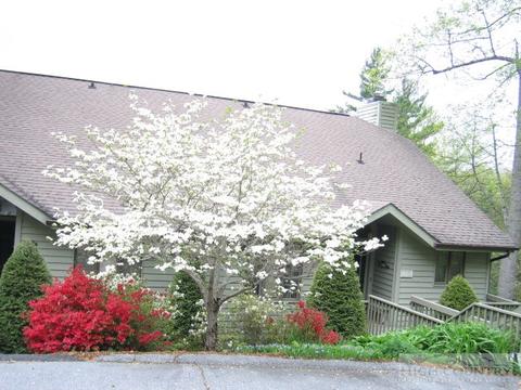 153 Far Sawrey # -1, Blowing Rock, NC 28605 photo 1