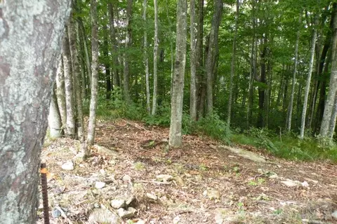 102 Whippoorwill Way, Beech Mountain, NC 28604 photo 6