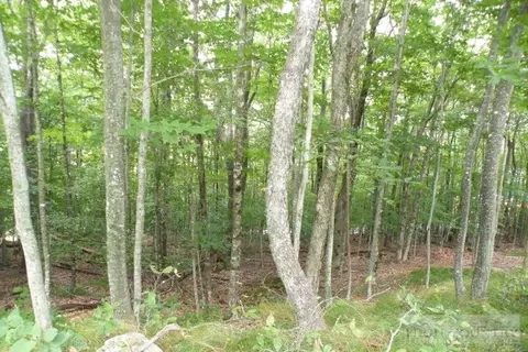 102 Whippoorwill Way, Beech Mountain, NC 28604 photo 1