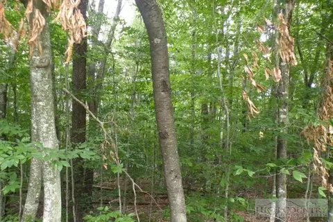 102 Whippoorwill Way, Beech Mountain, NC 28604 photo 5