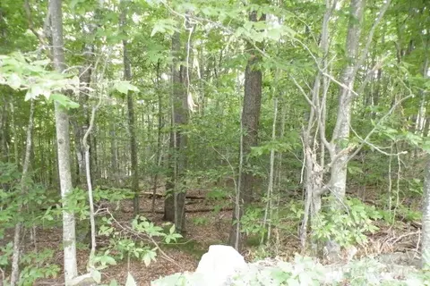 102 Whippoorwill Way, Beech Mountain, NC 28604 photo 9