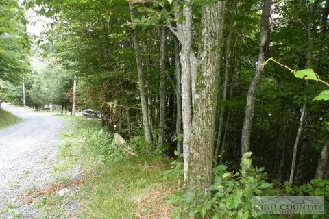 102 Whippoorwill Way, Beech Mountain, NC 28604 photo 8
