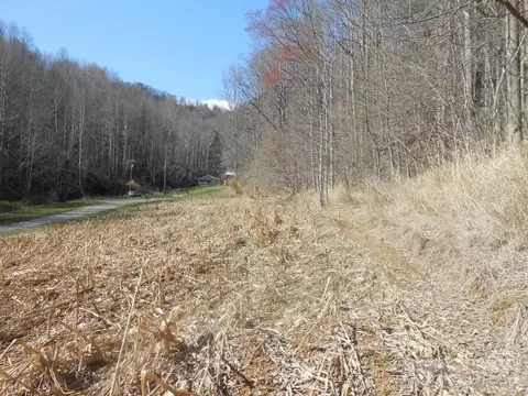 626 Stewart Simmons Rd, Deep Gap, NC 28618 photo 4