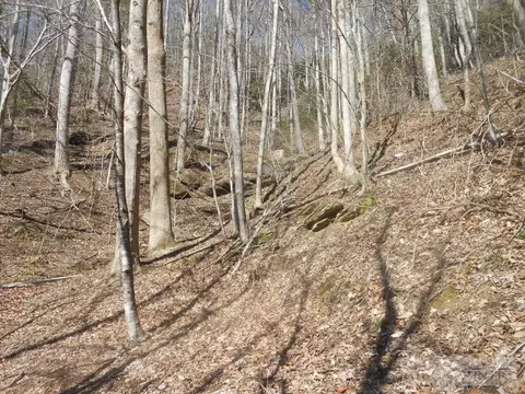 626 Stewart Simmons Rd, Deep Gap, NC 28618 photo 5