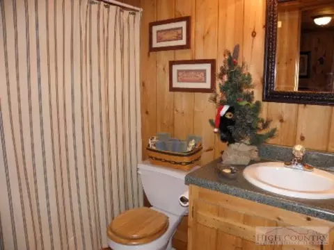 353 Old Mill Rd, Todd, NC 28684 photo 11