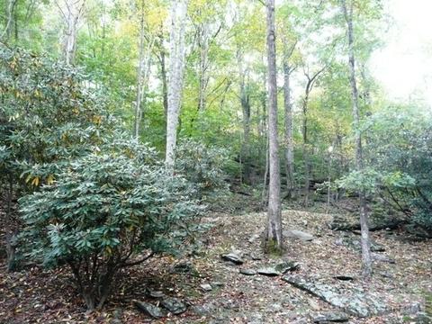 515 Birch, Boone, NC 28607 photo 14