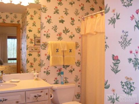 256 Churchill Downs Rd, Boone, NC 28607 photo 19