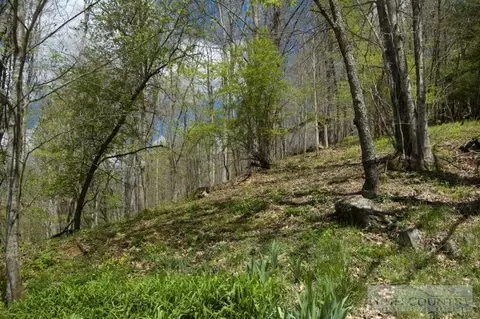 766 Big Windfall Rd, Lansing, NC 28643 photo 13