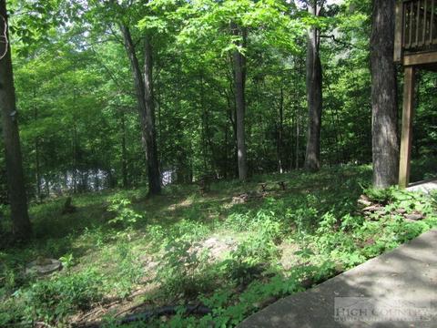 111 Hawk Ter, Vilas, NC 28692 photo 16