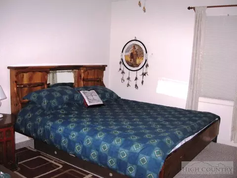 4818 Big Ivy Rd, Purlear, NC 28665 photo 9