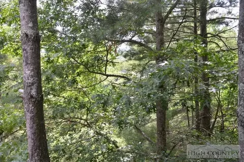 3545 Wildcat Rd, Deep Gap, NC 28618 photo 3
