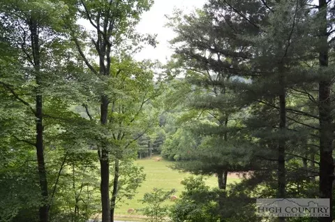 3545 Wildcat Rd, Deep Gap, NC 28618 photo 8