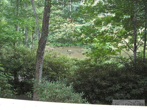 1946 River Rd, Todd, NC 28684 photo 22
