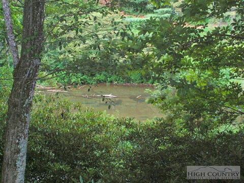 1946 River Rd, Todd, NC 28684 photo 13