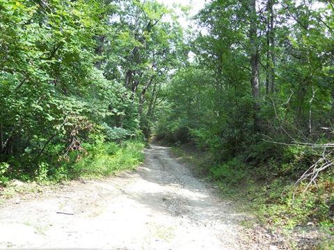 963 984 Dillard Coffey Rd, Boone, NC 28607 photo 3