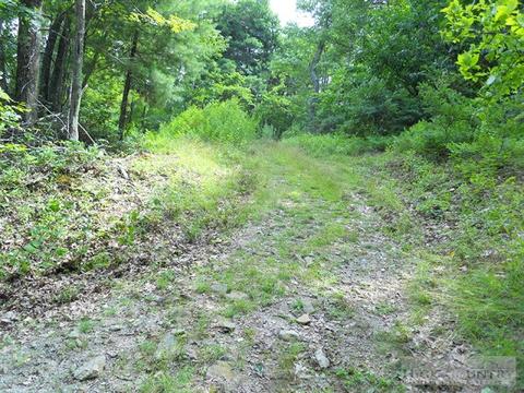 963 984 Dillard Coffey Rd, Boone, NC 28607 photo 11