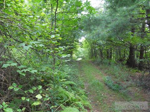 963 984 Dillard Coffey Rd, Boone, NC 28607 photo 7