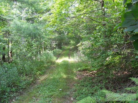 963 984 Dillard Coffey Rd, Boone, NC 28607 photo 5
