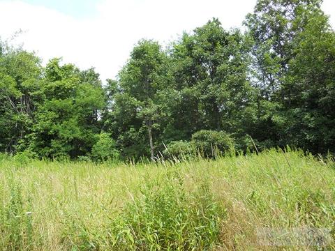 963 984 Dillard Coffey Rd, Boone, NC 28607 photo 2