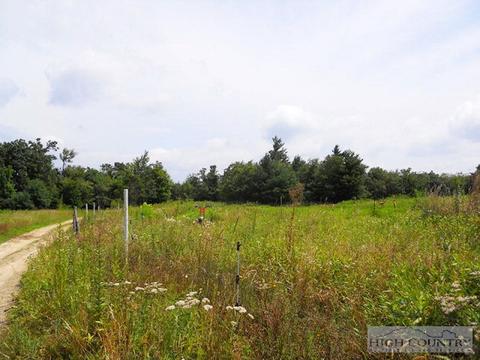 963 984 Dillard Coffey Rd, Boone, NC 28607 photo 10