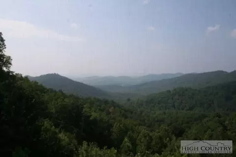 861 Bobcat Mountain Ln, Purlear, NC 28665 photo 9