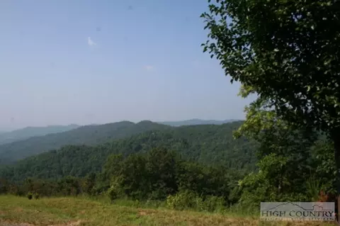 861 Bobcat Mountain Ln, Purlear, NC 28665 photo 11