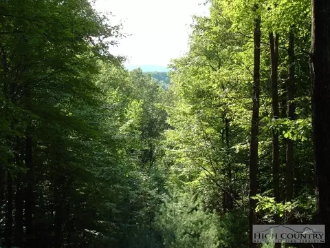 142 Twisting Trl, Deep Gap, NC 28618 photo 6