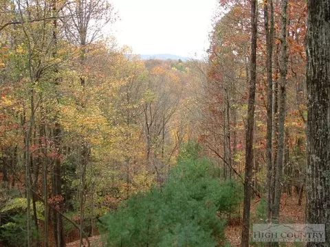 142 Twisting Trl, Deep Gap, NC 28618 photo 3