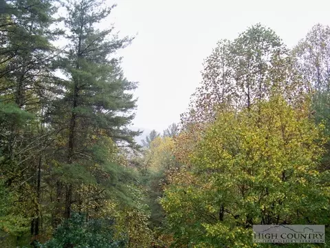 310 Chestnut, Boone, NC 28607 photo 4