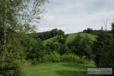 898 Brushy Fork Rd, Creston, NC 28615 photo 6