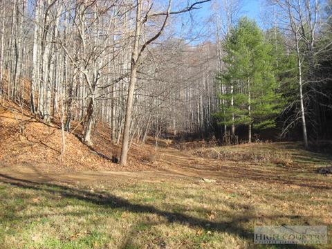 2539 Elk Creek Rd, Deep Gap, NC 28618 photo 7