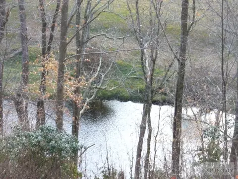 884 River Rdg, Boone, NC 28607 photo 12