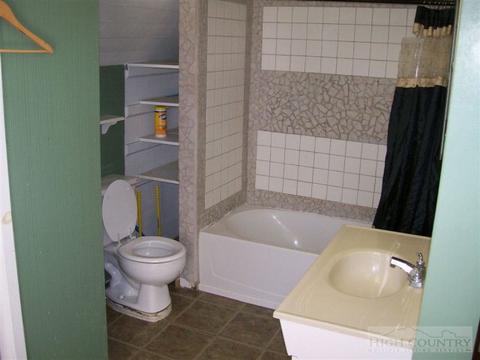 110 Ray Brown Rd, Boone, NC 28607 photo 7