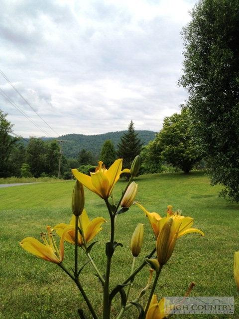 208 Harrison Rd, Boone, NC 28607 photo 9