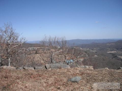 103 Beech Top Rd, Beech Mountain, NC 28604 photo 3