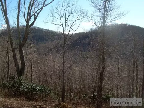 439 Crossmor Dr, Todd, NC 28684 photo 13
