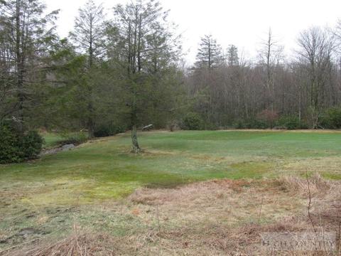 698 Curley Maple, Boone, NC 28607 photo 4