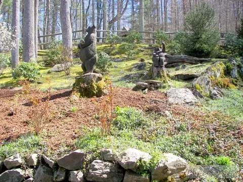 342 Fox Cove Rd, Boone, NC 28607 photo 20