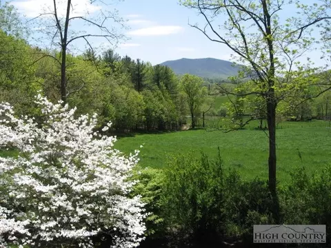 170 Abigail Ct, Crumpler, NC 28617 photo 8